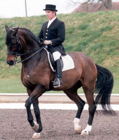 Equestrian Employer Photo: David Pincus and Destiny