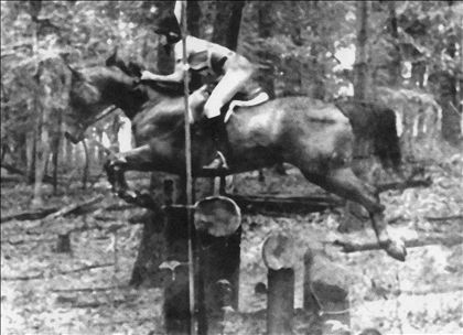 Equestrian Jobseeker Photo: Me on Saidy