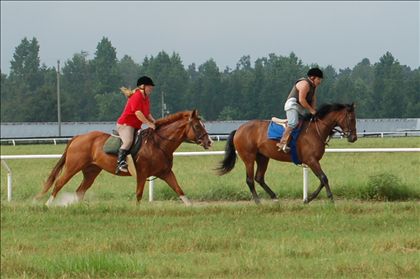 Equestrian Jobseeker Photo: helping train horse on the track