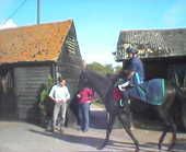 Equestrian Jobseeker Photo: racing