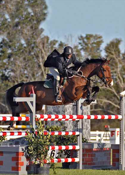 Equestrian Jobseeker Photo: 