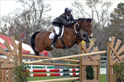 Equestrian Jobseeker Photo: 