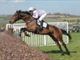 Equestrian Jobseeker Profile Photo