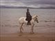 Equestrian Jobseeker Profile Photo