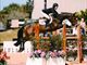 Equestrian Employer Profile Photo