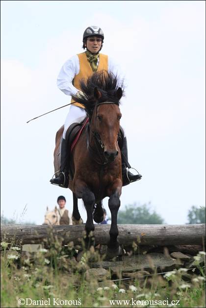 Equestrian Jobseeker Photo: Hunt in Czech