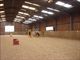 Equestrian Jobseeker Profile Photo