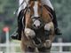 Equestrian Jobseeker Profile Photo