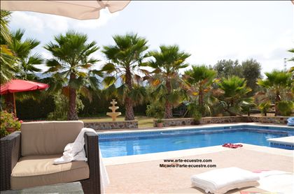 Equestrian Employer Photo: Swimming pool stud