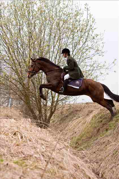 Equestrian Jobseeker Photo: Jump Ditch