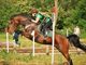 Equestrian Jobseeker Profile Photo