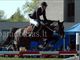 Equestrian Jobseeker Profile Photo