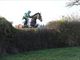 Equestrian Jobseeker Profile Photo