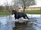 Equestrian Jobseeker Profile Photo