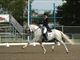 Equestrian Employer Profile Photo