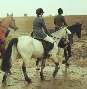 Equestrian Jobseeker Photo: Out hunting.
