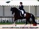 Equestrian Employer Profile Photo