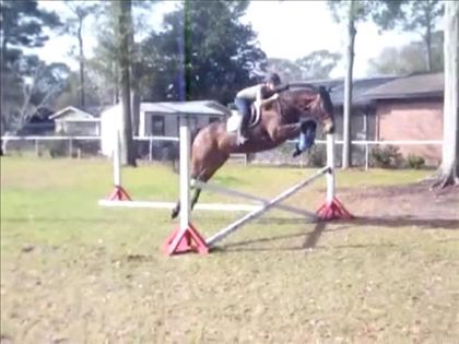 Equestrian Jobseeker Photo: Starting 4yo over fences