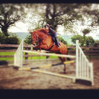 Equestrian Jobseeker Photo: