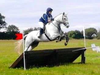 Equestrian Jobseeker Photo: