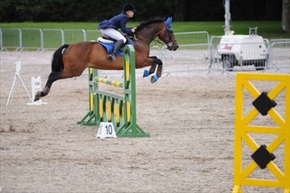 Equestrian Jobseeker Photo: Jessica and Nicky Lord Milstreet 2010