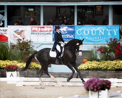Equestrian Employer Photo: 