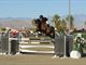 Equestrian Jobseeker Profile Photo
