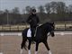Equestrian Jobseeker Profile Photo