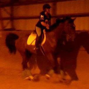 Equestrian Jobseeker Photo: Dutch Warmblood gelding I trained summer of 2012, myself riding in pic.