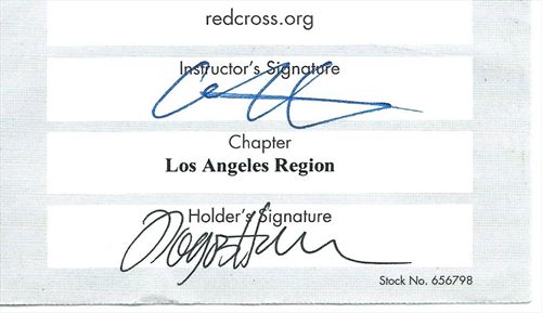 Equestrian Jobseeker Photo: First Aid