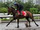 Equestrian Employer Profile Photo
