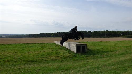 Equestrian Jobseeker Photo: