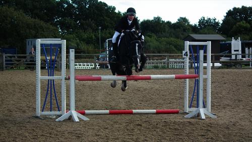 Equestrian Jobseeker Photo: