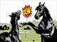 Equestrian Employer Profile Photo