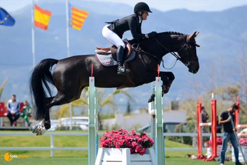 Equestrian Employer Photo: