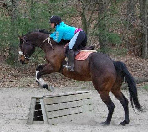 Equestrian Jobseeker Photo: