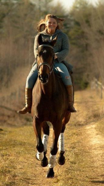 Equestrian Jobseeker Photo: