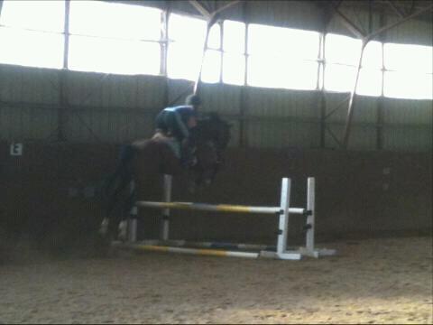 Equestrian Jobseeker Photo: