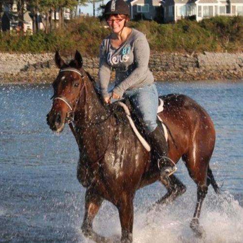 Equestrian Jobseeker Photo: