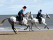 Equestrian Employer Profile Photo