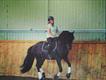 Equestrian Jobseeker Profile Photo