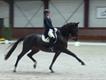 Equestrian Employer Profile Photo