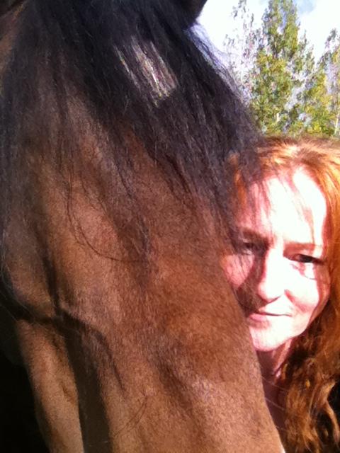 Equestrian Jobseeker Photo: