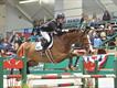 Equestrian Employer Profile Photo