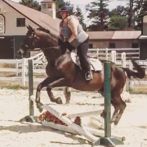 Equestrian Jobseeker Photo: Horse: Sir Camelot course had fences up to 2'6 which we jumped-summer 2016