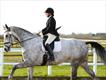 Equestrian Jobseeker Profile Photo