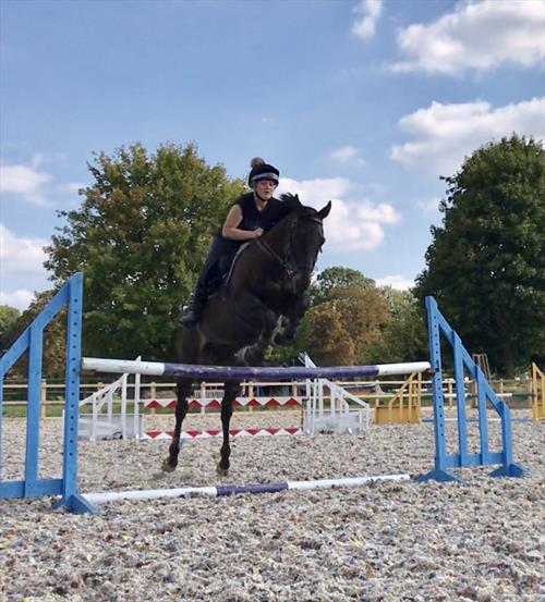 Equestrian Jobseeker Photo: Jumping my ex racer who I’ve retrained.