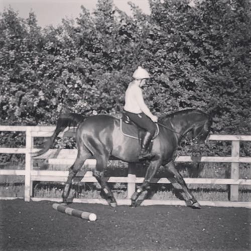 Equestrian Jobseeker Photo: