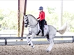 Equestrian Employer Profile Photo