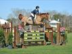 Equestrian Jobseeker Profile Photo
